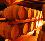 Atividades e Roteiros