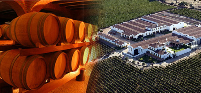 Sobre o vinho - Alentejo Marmoris Hotel & Spa *****